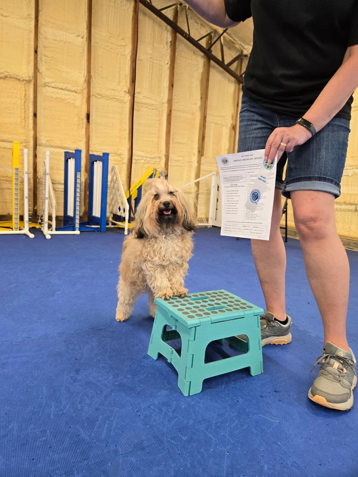 AKC Trick Dog photograph