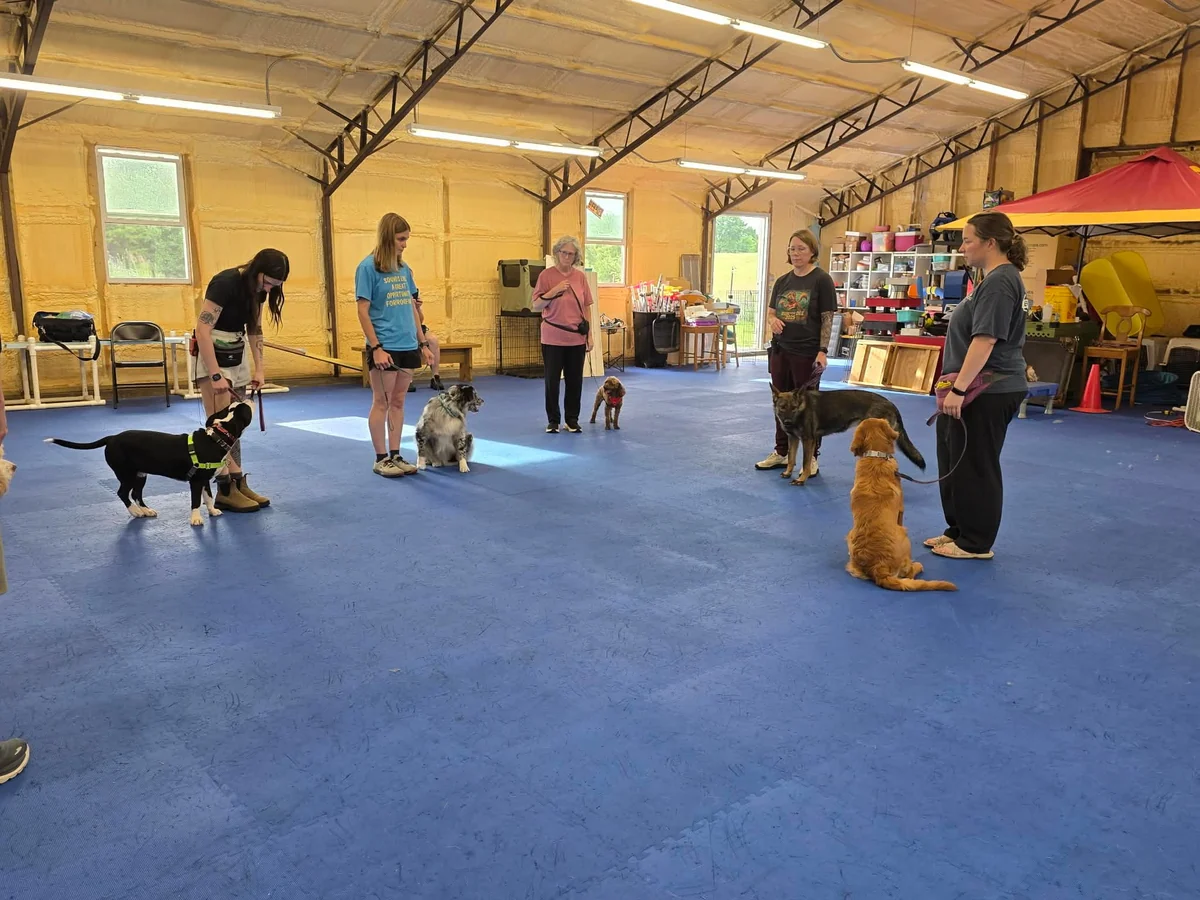 Dogtastic group photograph